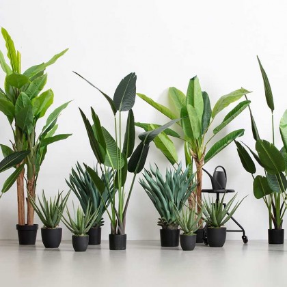 Planta artificial Aloe Vera
