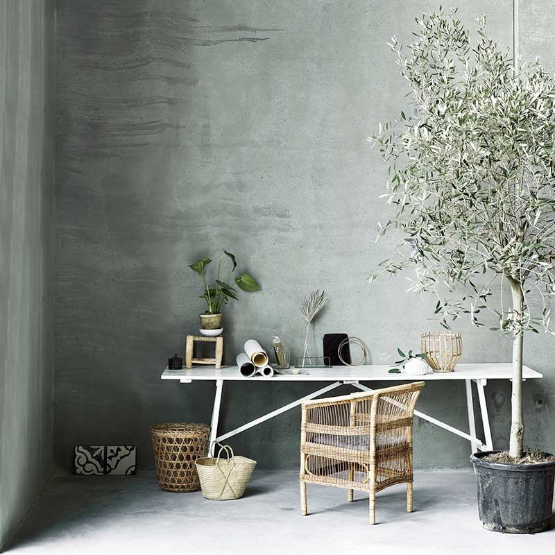Silla Palm