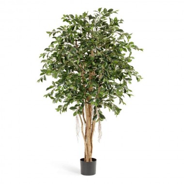 Sapin artificiel Ficus 150cm