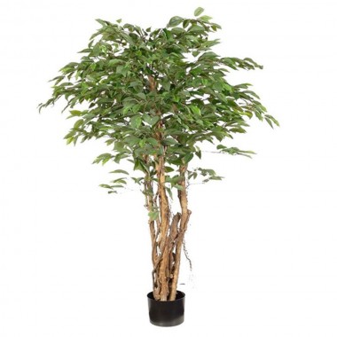 Sapin artificiel Ficus 180cm