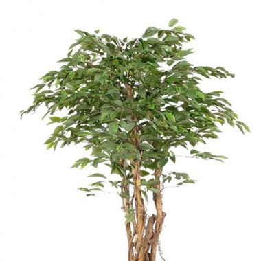 Árbol artificial Ficus 180cm